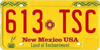 NM license plate 613TSC