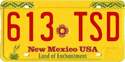 NM license plate 613TSD