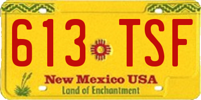NM license plate 613TSF
