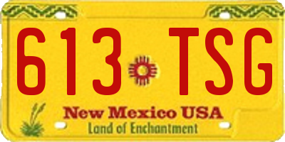NM license plate 613TSG