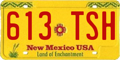 NM license plate 613TSH