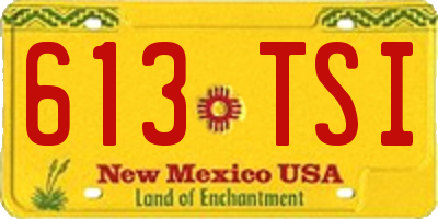 NM license plate 613TSI