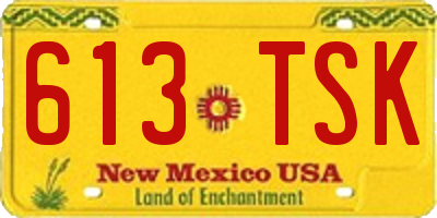 NM license plate 613TSK