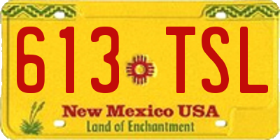 NM license plate 613TSL