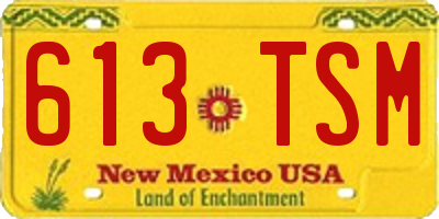 NM license plate 613TSM