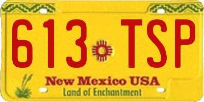 NM license plate 613TSP