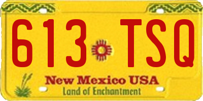 NM license plate 613TSQ