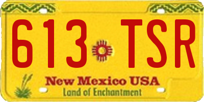NM license plate 613TSR