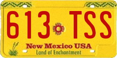 NM license plate 613TSS
