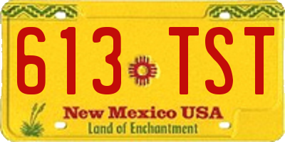 NM license plate 613TST