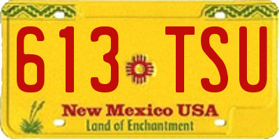 NM license plate 613TSU