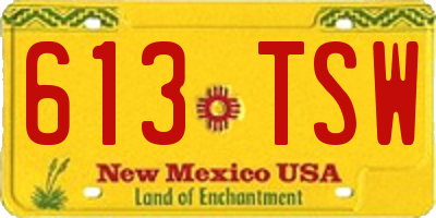 NM license plate 613TSW