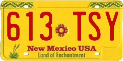 NM license plate 613TSY