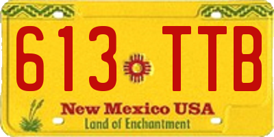 NM license plate 613TTB