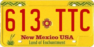 NM license plate 613TTC