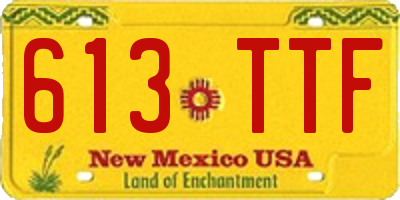NM license plate 613TTF