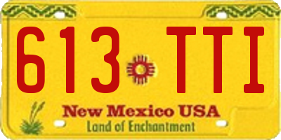 NM license plate 613TTI