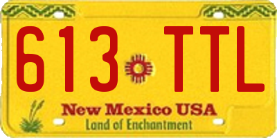 NM license plate 613TTL
