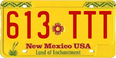 NM license plate 613TTT