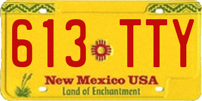 NM license plate 613TTY
