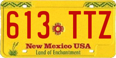NM license plate 613TTZ