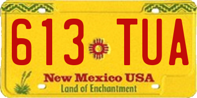 NM license plate 613TUA