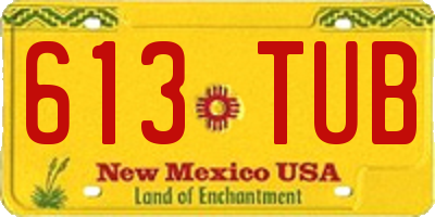NM license plate 613TUB