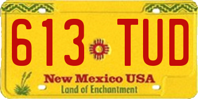 NM license plate 613TUD