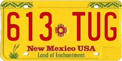 NM license plate 613TUG
