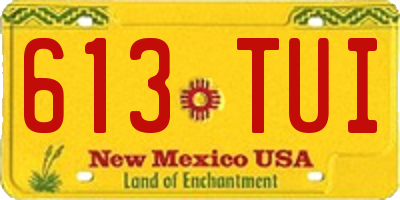NM license plate 613TUI