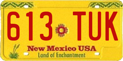 NM license plate 613TUK