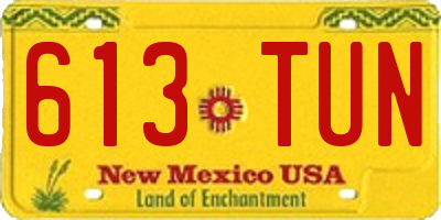 NM license plate 613TUN