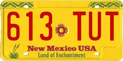 NM license plate 613TUT