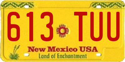 NM license plate 613TUU