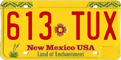 NM license plate 613TUX