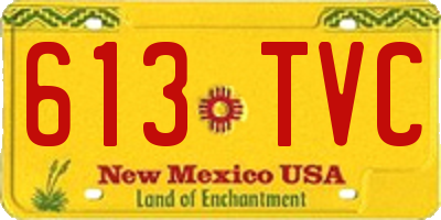 NM license plate 613TVC