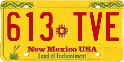 NM license plate 613TVE