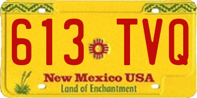 NM license plate 613TVQ