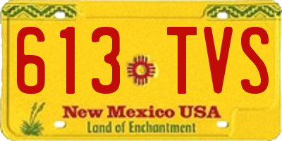 NM license plate 613TVS
