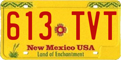NM license plate 613TVT