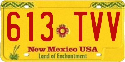 NM license plate 613TVV