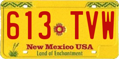 NM license plate 613TVW