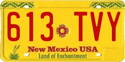 NM license plate 613TVY