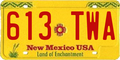 NM license plate 613TWA