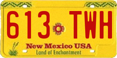 NM license plate 613TWH
