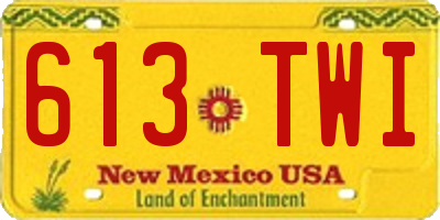 NM license plate 613TWI
