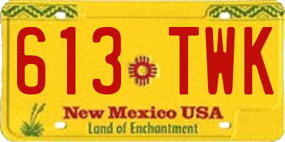NM license plate 613TWK