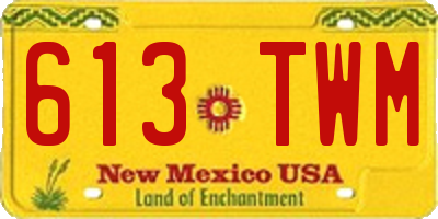 NM license plate 613TWM