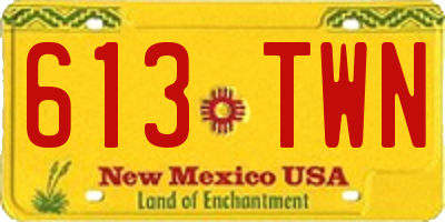 NM license plate 613TWN