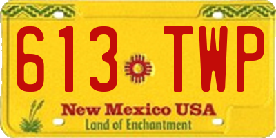 NM license plate 613TWP